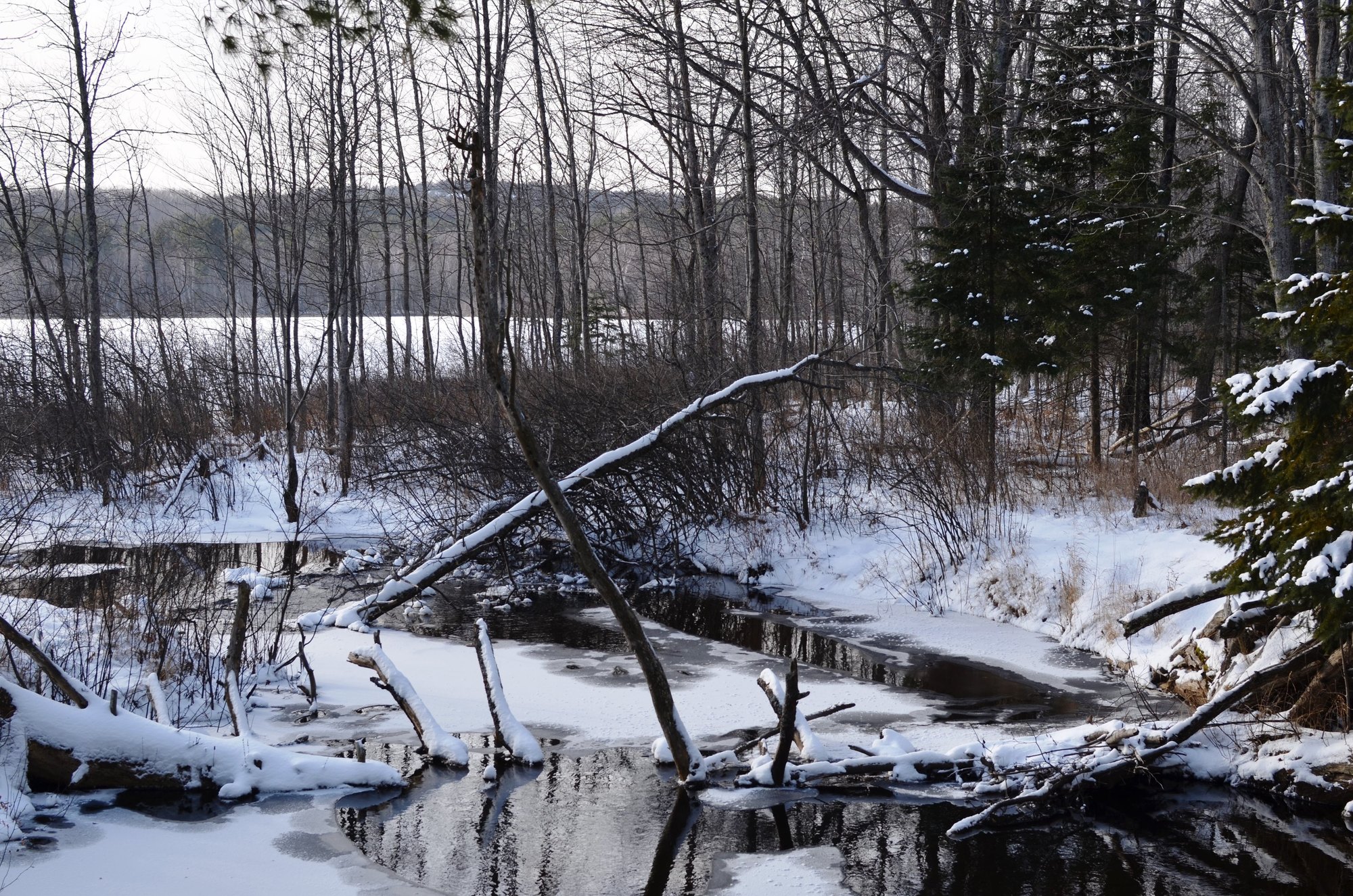 DNR announces trails plan for Little Presque Isle in Marquette County