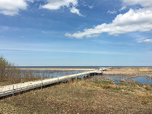 Bay City State Recreation Area new boardwalk