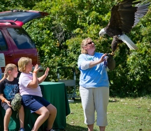 boy and girl watch as lady holds bald eagle on her arm with its wings spread