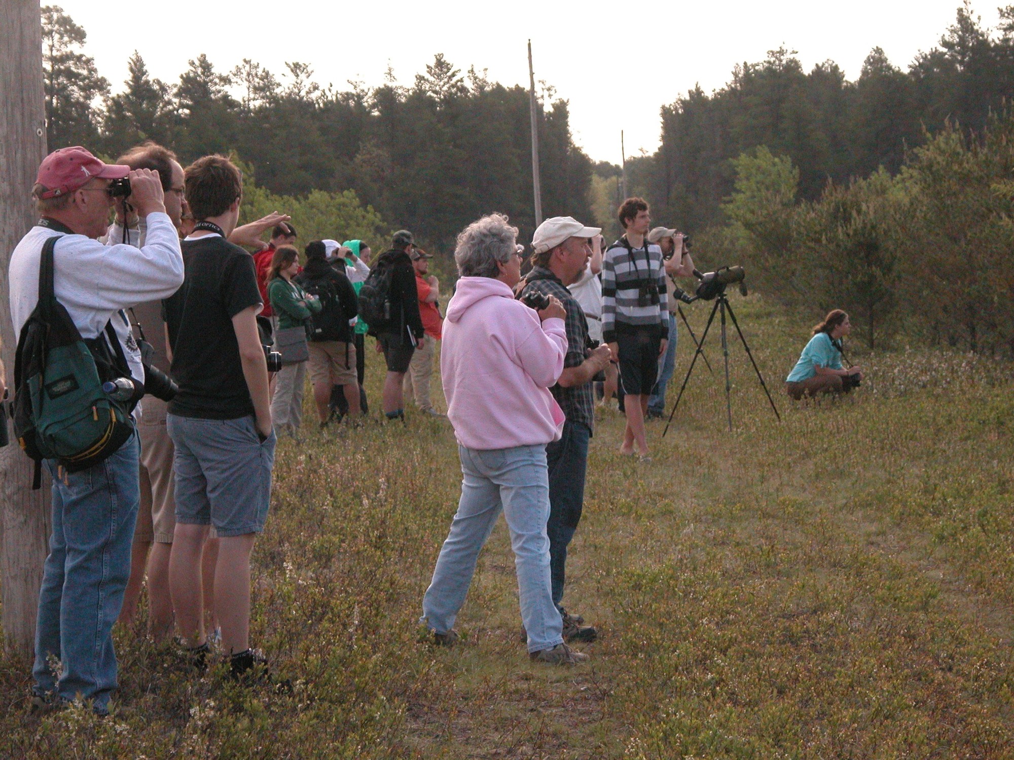 Visitors come from other states, and even other countries, to catch a glimpse of the rare Kirtland’s warbler.