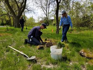 People planting flowers and plants at Marathon Gardens Wildlife Habitat area, Detroit