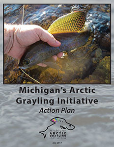 cover of Michigan's Arctic Grayling Initiative Action Plan