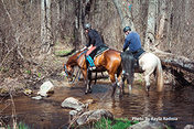 Equestrians at Brighton Recreation Area