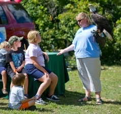 children watch as lady talks about bald eagle perched on her arm