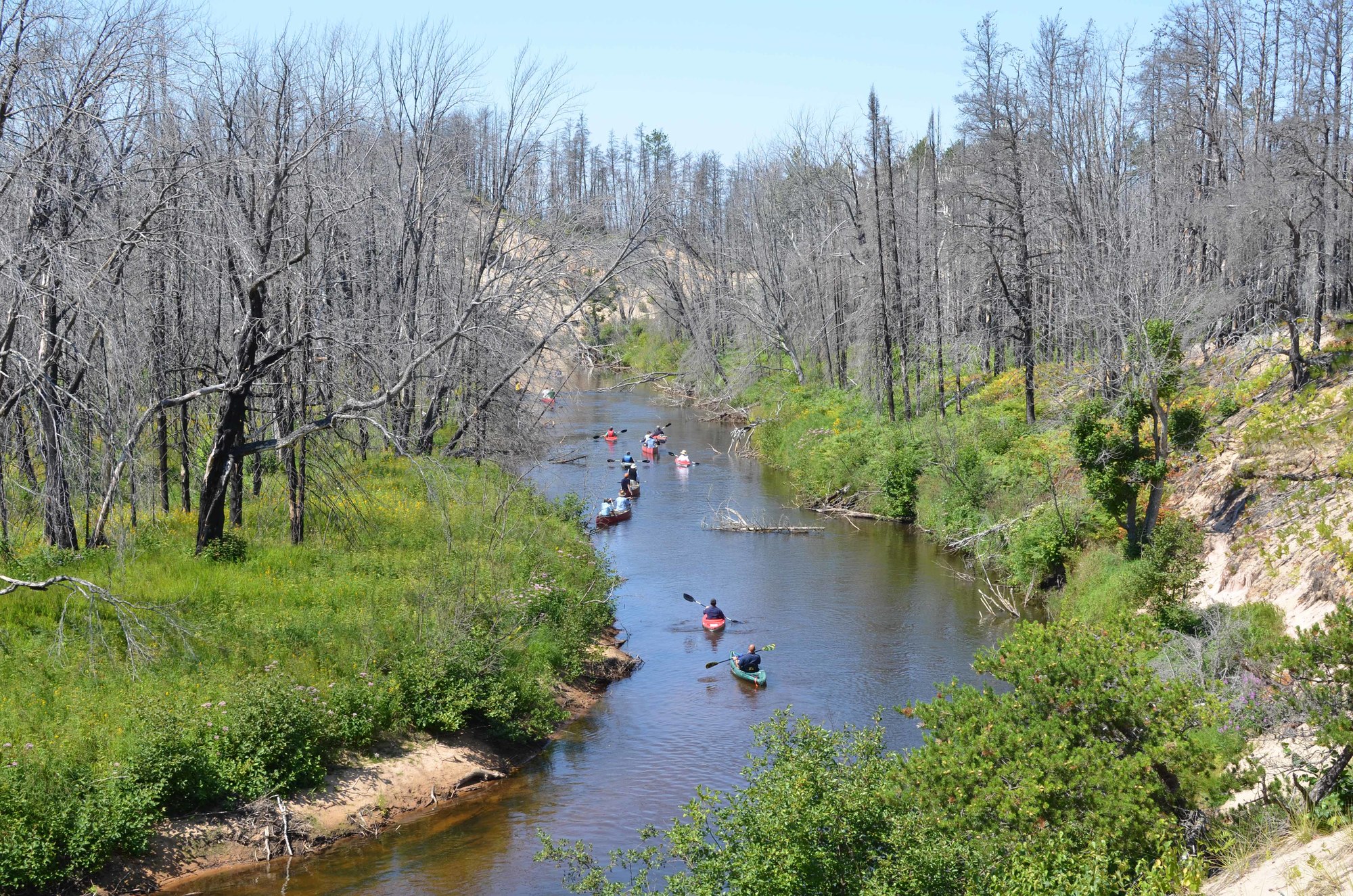 Kayakers enjoy a float down the Two-Hearted River in northern Luce County, three years after the Duck Lake Fire ravaged the riparian vegetation. 