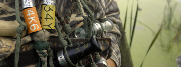 Duck calls and bands