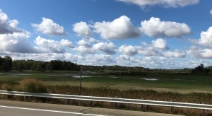 wetland on side of road at Maple River State Game Area