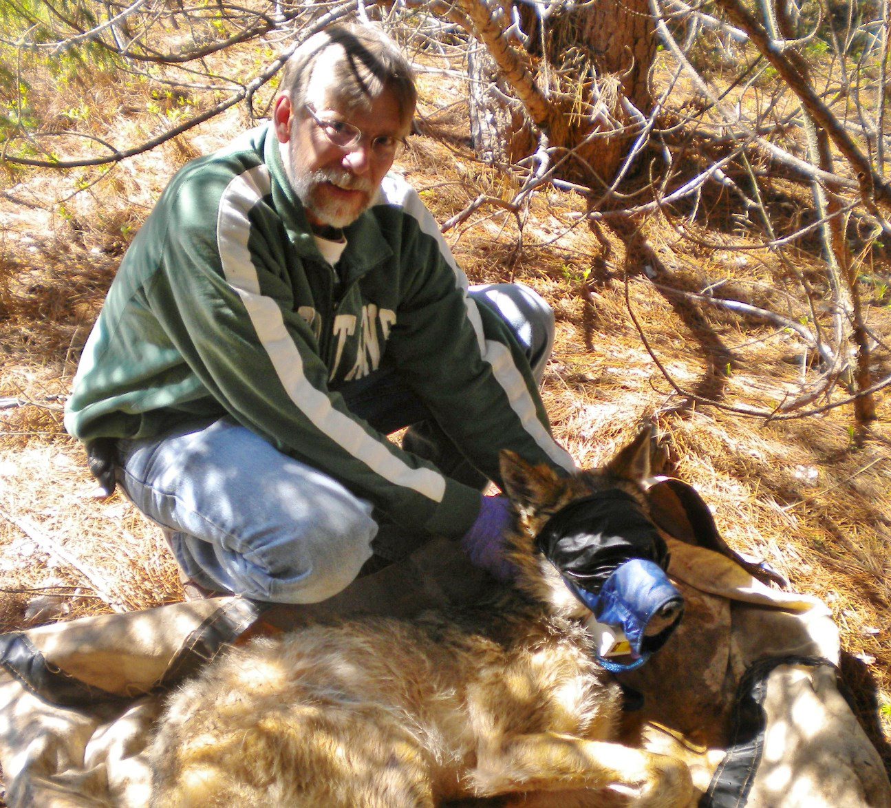 Dean Beyer, a Michigan Department of Natural Resources wildlife research biologist, will discuss Upper Peninsula moose in Ishpeming Oct. 19.