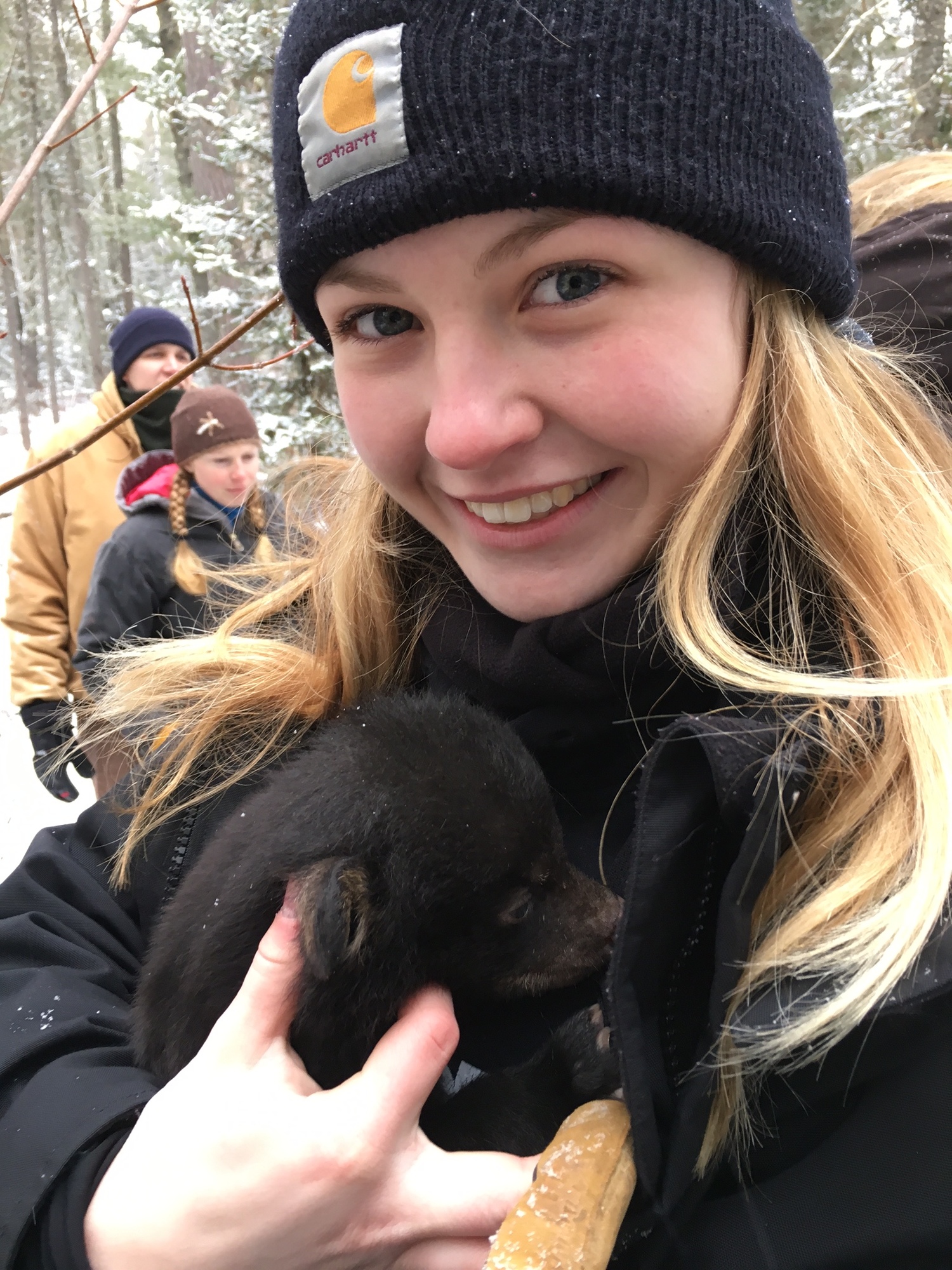 Hannah Peterson holds a bear cub during a DNR bear den check.