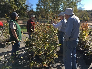 Volunteers plant disease-resistant beech trees at Ludington State Park. 