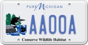 common loon license plate