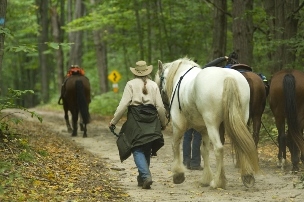 view of horses and riders from behind on trail
