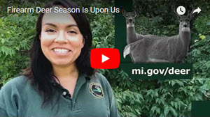 Click to watch a video about firearm deer season