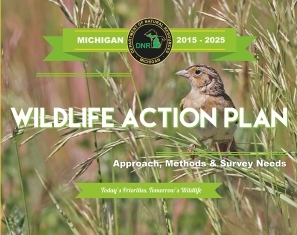 Wildlife Action Plan cover image