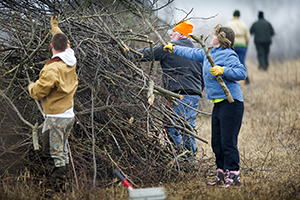 volunteers clear brush to help restore grassland habitat