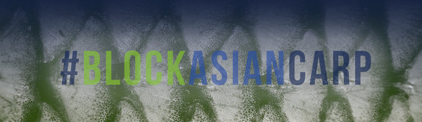 #BlockAsianCarp Banner