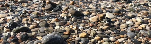 Pebbles on Casco Twp Park Beach 