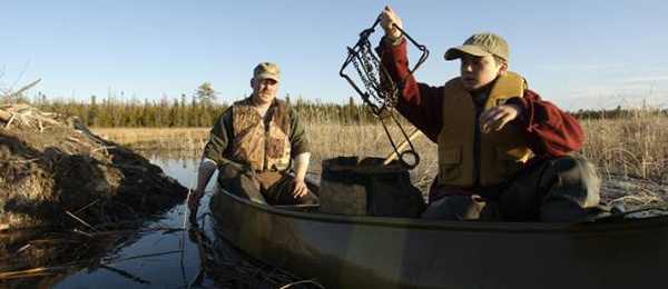 trapping beaver
