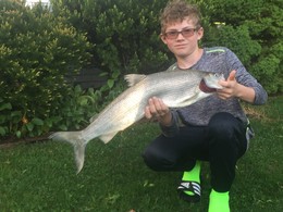 young boy holding Master Angler lake whitefish