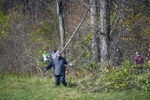 Volunteers remove invasive species from the rare, 200-acre wet-mesic flatwoods forest.