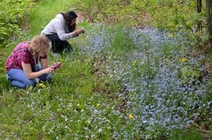 Two "Becoming an Outdoors Woman" photography students get up-close to some forget-me-nots at the Bay Cliff Health Camp.