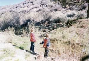 The young Pepin boys tossing rocks on a camping trip to Sulphur Springs in the Angeles National Forest.