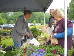 A farmer places fresh lettuce into a plastic bag for a customer at the Farmers Market