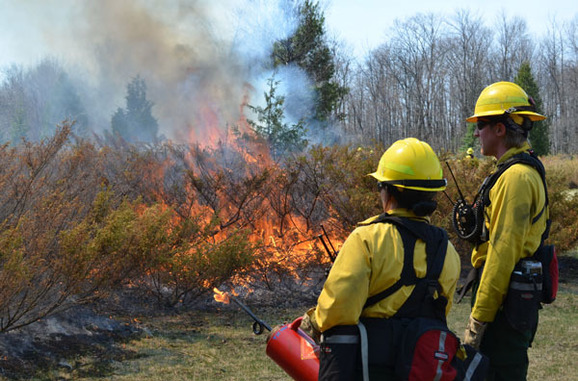 Firefighters monitor a prescribed burn at Fayette Historic State Park Tuesday in Delta County.