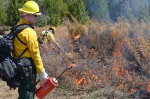 Firefighters monitor a prescribed burn at Fayette Historic State Park Tuesday in Delta County.