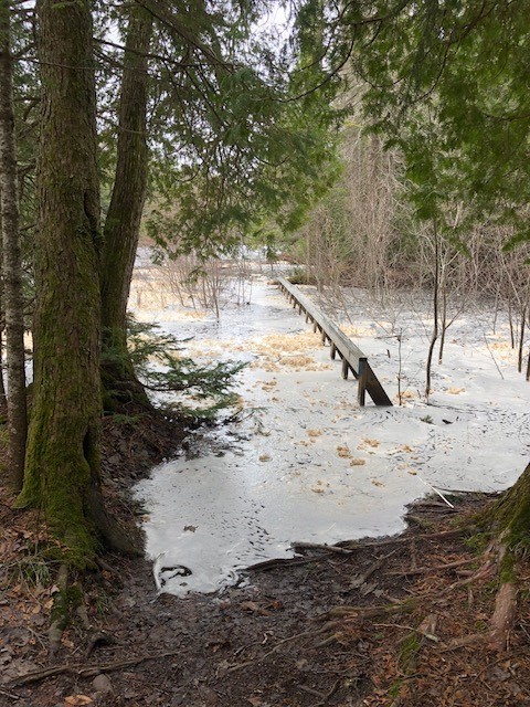 The Tahquamenon River has overflowed its bank, forcing ranges to close popular River Trail