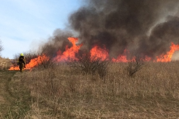 controlled burn to enhance grassland habitat