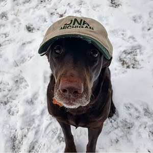 A dog wearing a DNR hat, winter background, shared by DNR Instagram follower @evergreenfitnessgirl 