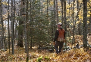 DNR forester in the forest