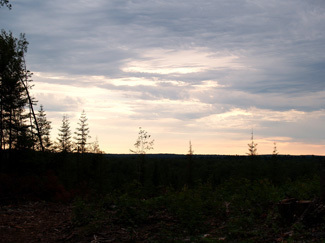 A typical evening summer skyline in the Upper Peninsula.