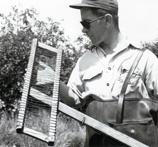A fisheries worker looks at an electrofishing probe in an undated photo.