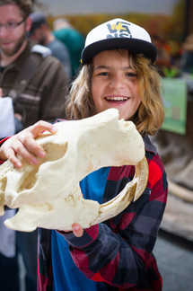 A smiling boy holds a large animal skull up for the camera. 