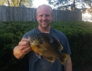 Joel Heeringa caught this state-record hybrid sunfish in July 2018 on Lake Anne in Berrien County