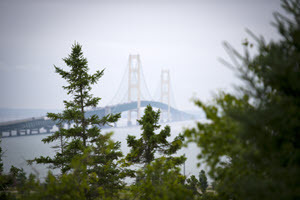 A view of the Mackinac Bridge, taken through the foliage of cedar trees on a hazy day