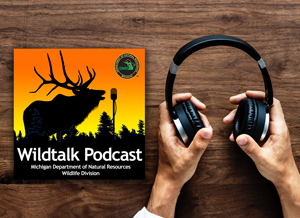 DNR Wildlife Division Wildtalk podcast graphic and headphones