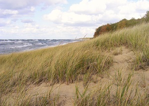 scenic view of the beach at Saugatuck Dunes State Park in Allegan County