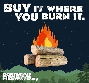 During Firewood Awareness Month (October), it's good to remember to buy firewood locally where you plan to use it.