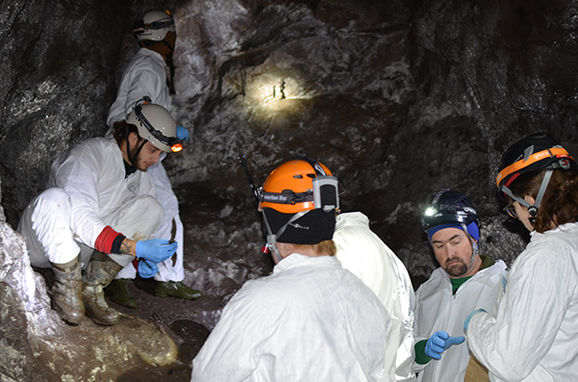 A team of bat researchers working in an Ontonagon County mine shaft.