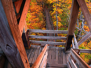 Wooden stairs in the park in the fall