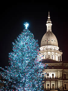 The 2018 State of Michigan Christmas Tree at night in downtown Lansing.