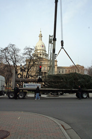 The state Christmas tree arrives in Lansing.