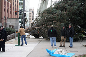 Workers ready the state Christmas tree.