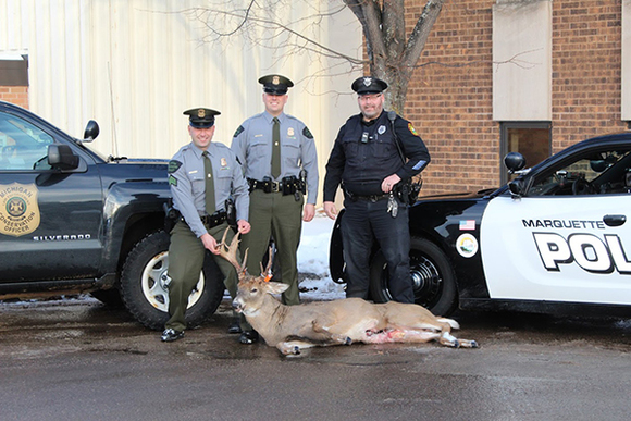 Marquette County Man Confesses To Killing Buck Within City Limits