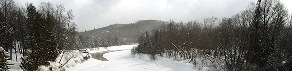 snowy forest with river running through it