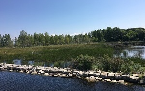 A habitat restoration site along the lower Menominee River 