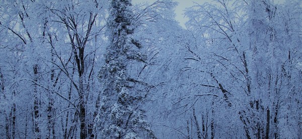 Winter in Marquette County.